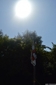 DSC_6960
